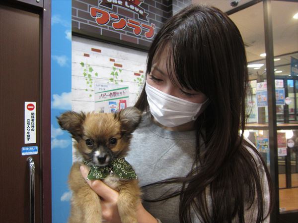 写真
