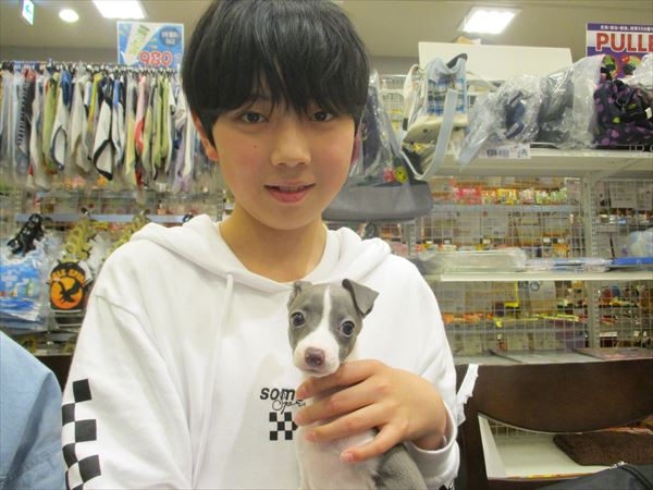 写真
