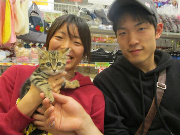 写真