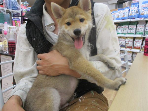 写真