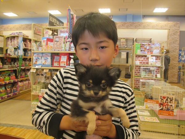 写真