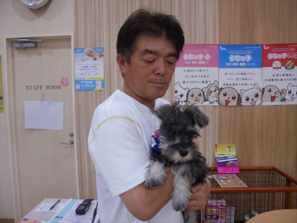 写真