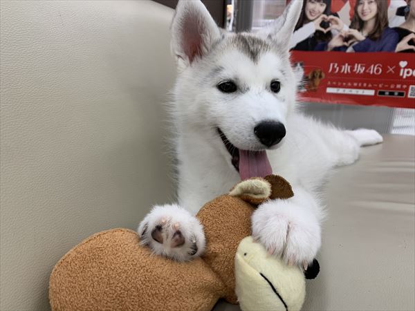 写真