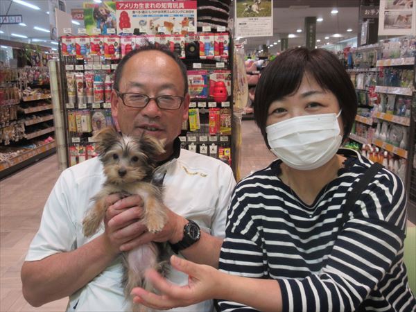 写真