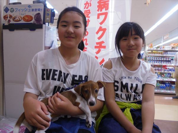 写真