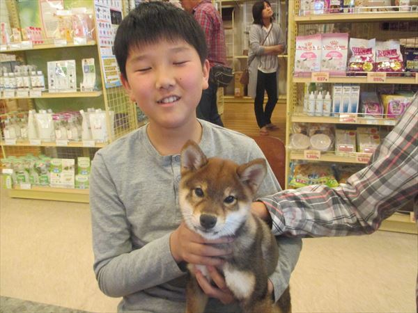 写真