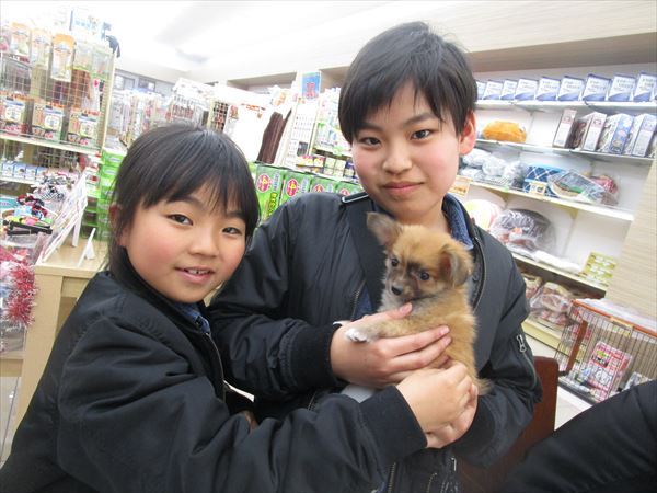 写真
