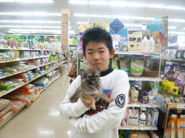 写真