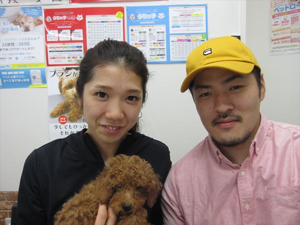 写真