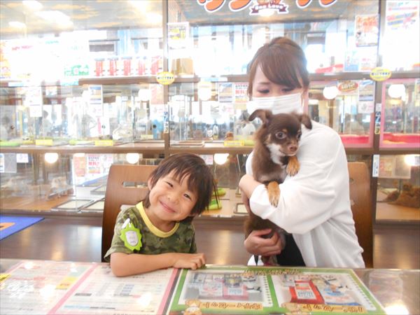 写真