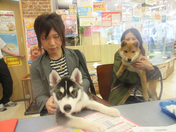 写真
