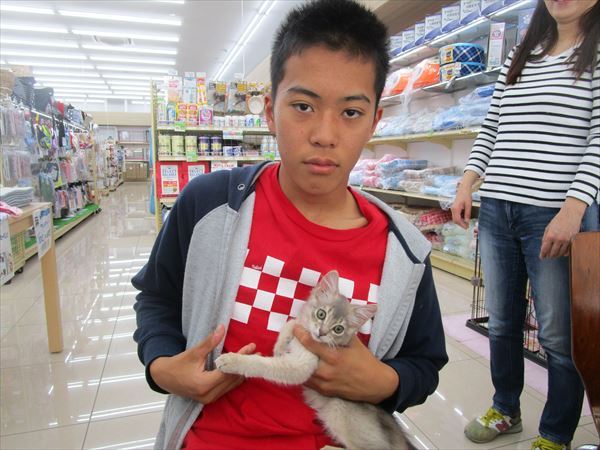 写真