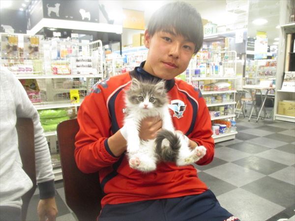 写真