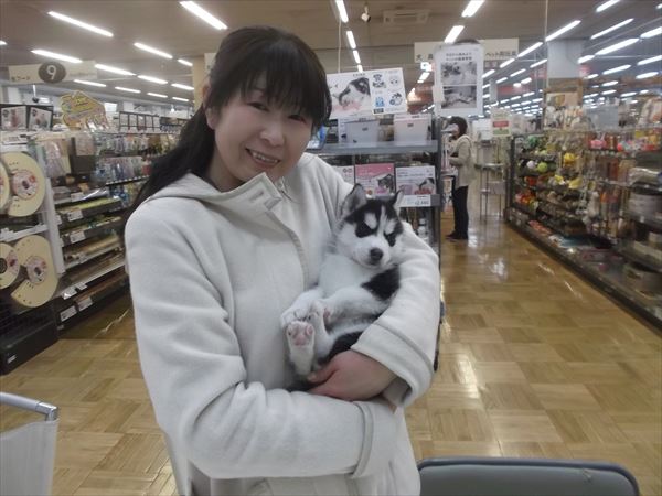 写真