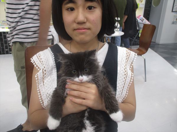 写真