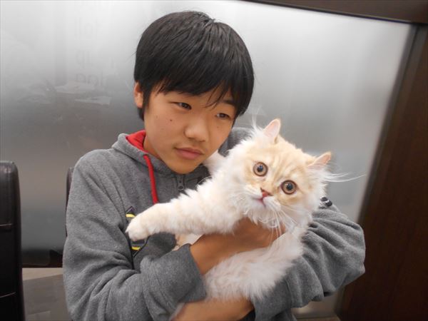 写真