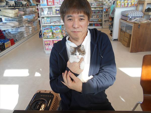 写真
