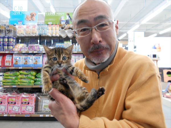 写真