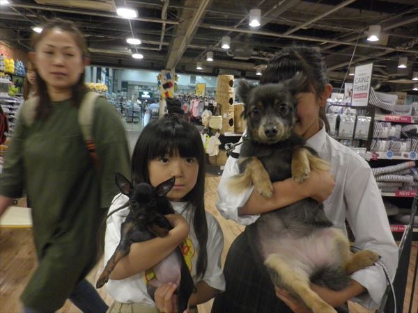 写真