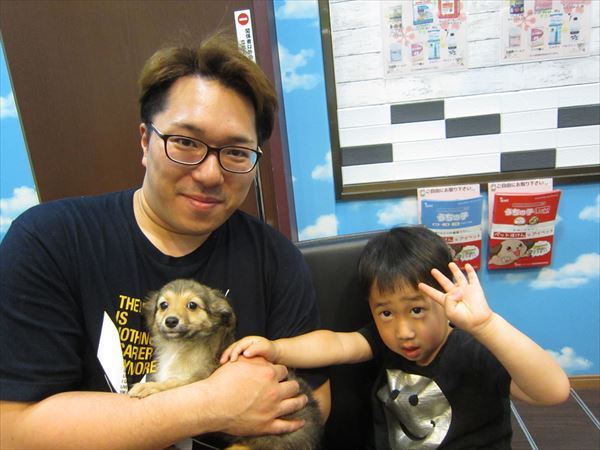 写真