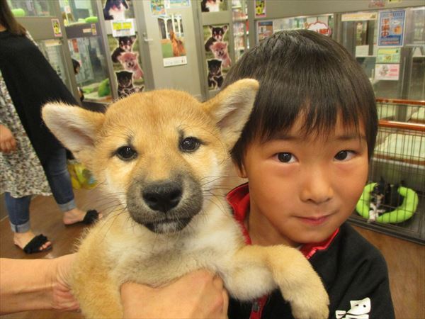 写真