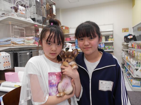 写真