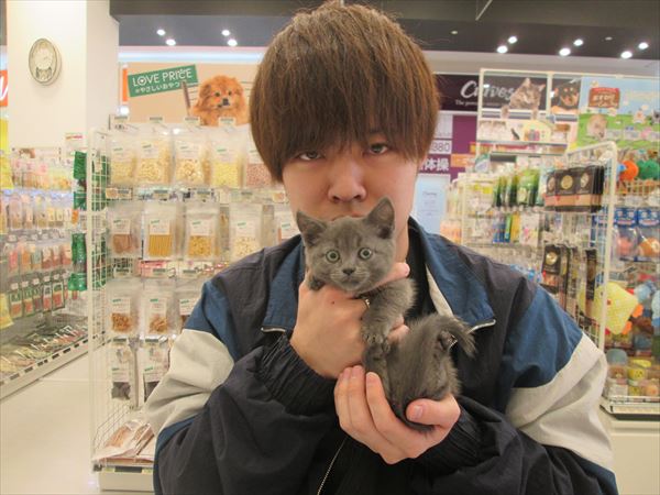 写真