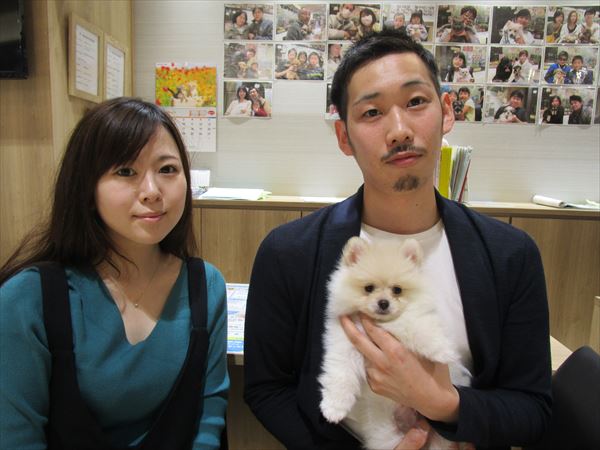 写真