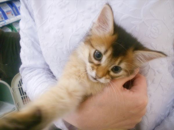 写真