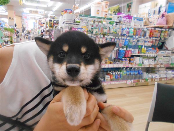 写真
