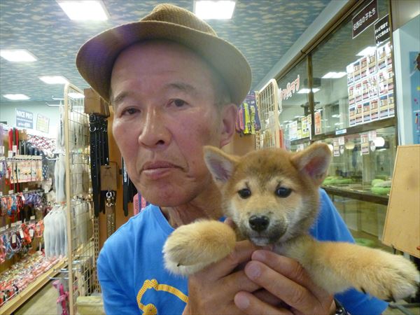 写真