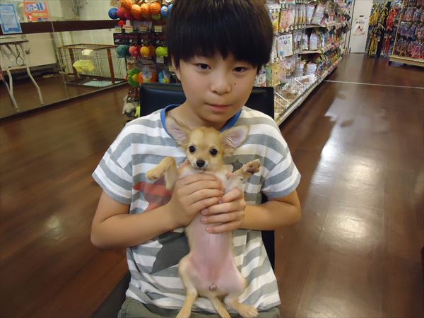 写真