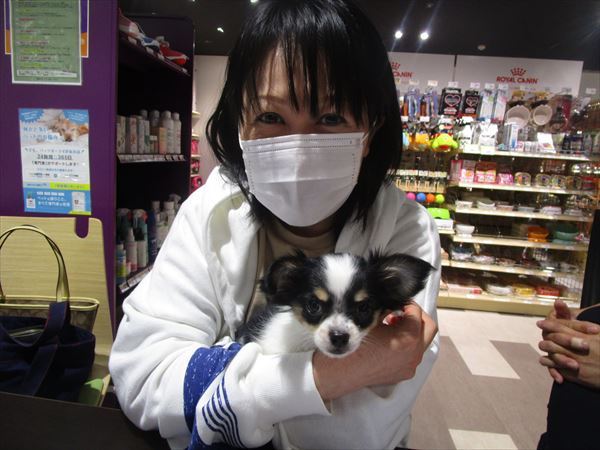 写真