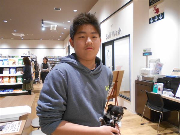 写真