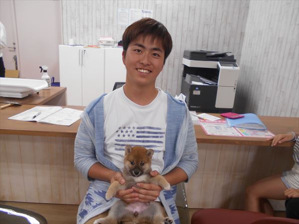 写真