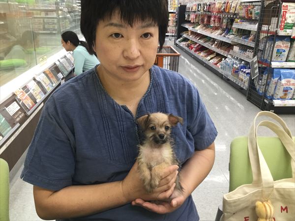 写真