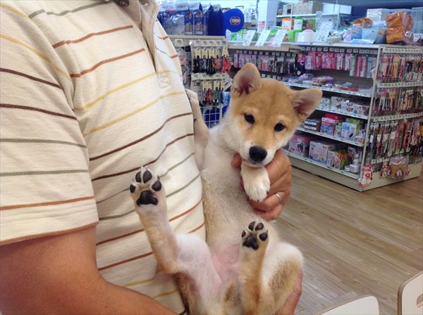 写真