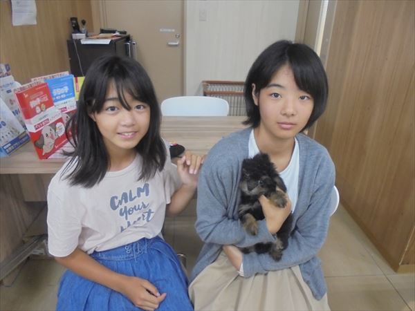 写真
