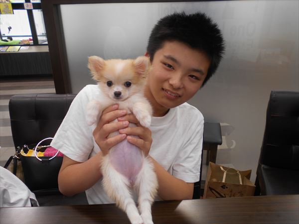 写真