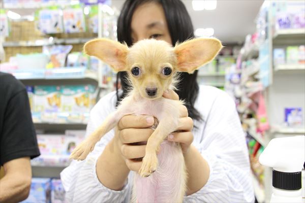 写真