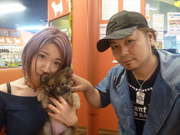 写真