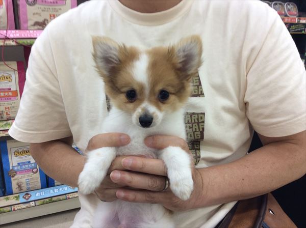 写真