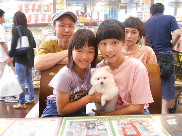 写真