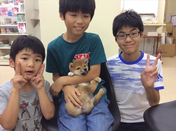 写真