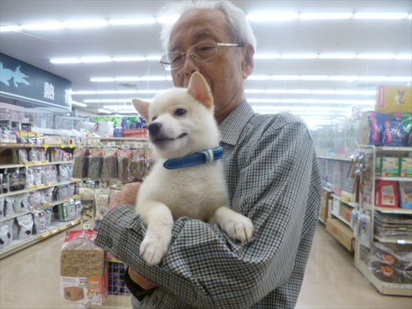 写真