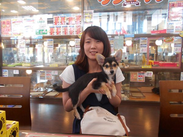 写真