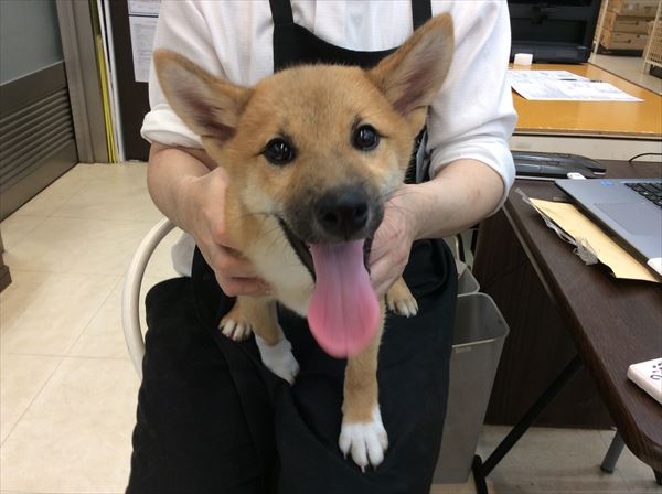 写真