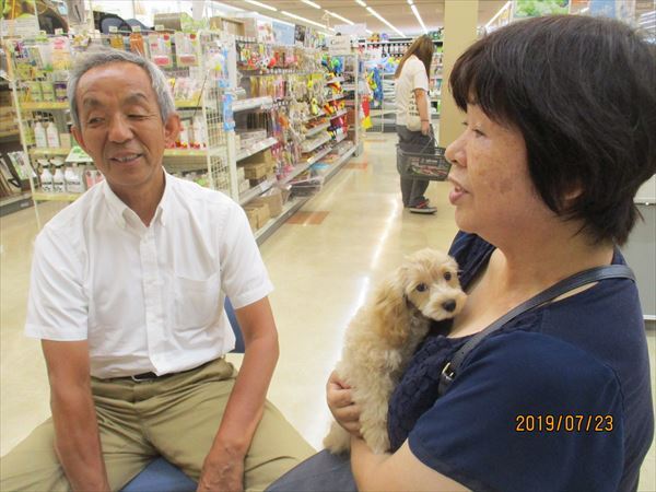 写真