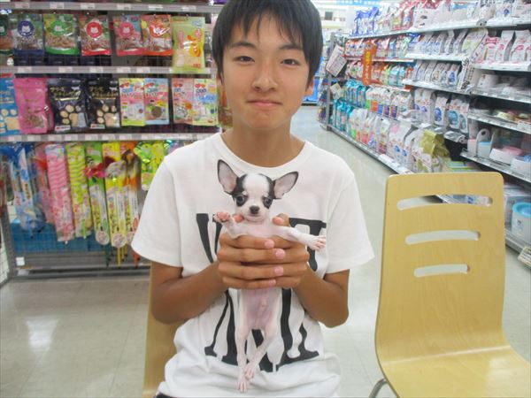 写真