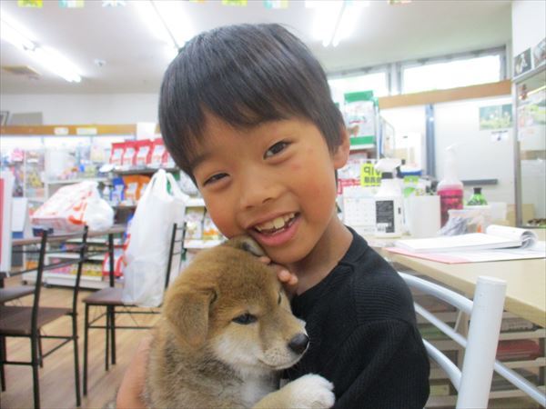 写真
